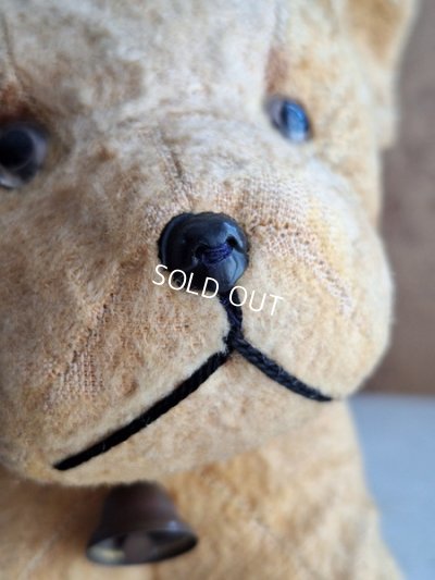 画像3: フレンチドッグ