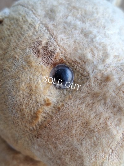 画像4: フレンチドッグ