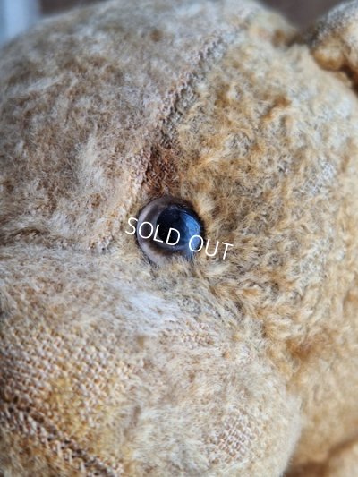 画像5: フレンチドッグ