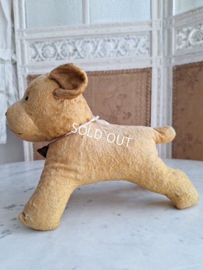 画像16: フレンチドッグ