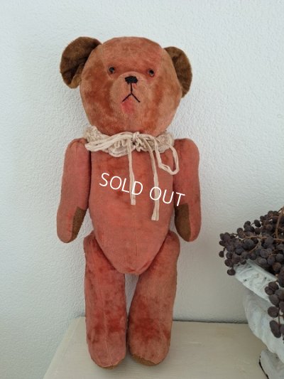 画像17: フレンチピンクテディベア