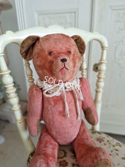 frenchpinkteddybear
