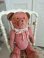 frenchpinkteddybear