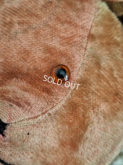 画像6: フレンチピンクテディベア