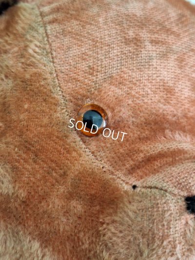 画像5: フレンチピンクテディベア