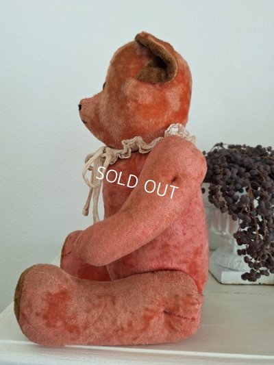 画像18: フレンチピンクテディベア