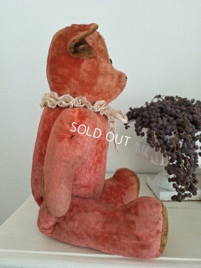 画像20: フレンチピンクテディベア