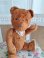 frenchteddybear