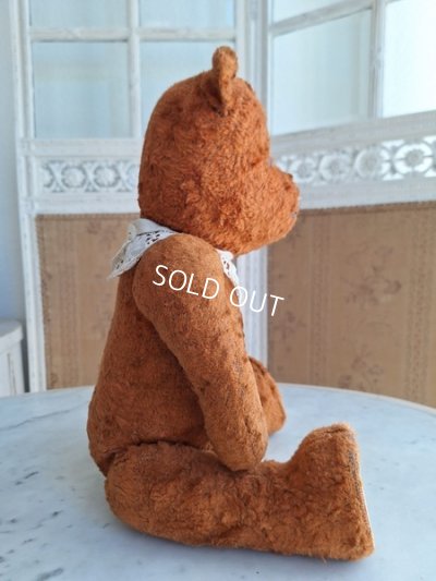 画像9: アンティークフレンチテディベア