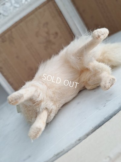 画像8: アンティークLouLouドッグ