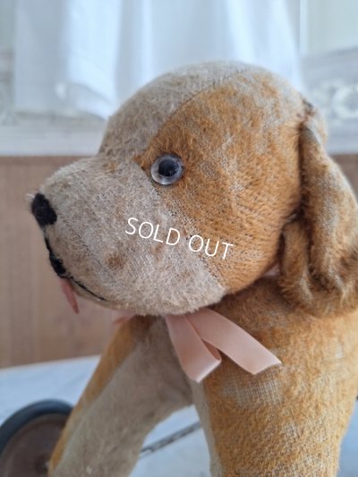 画像3: 車輪付フレンチ犬