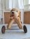 画像6: 車輪付フレンチ犬