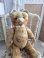 Jpmteddybear