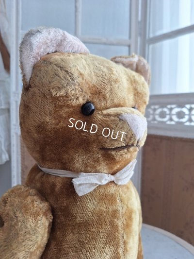 画像4: JPMテディベア