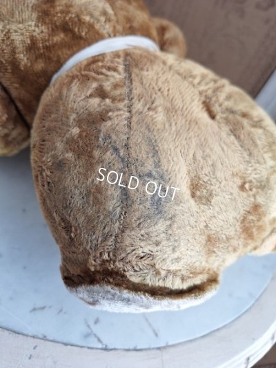 画像19: JPMテディベア