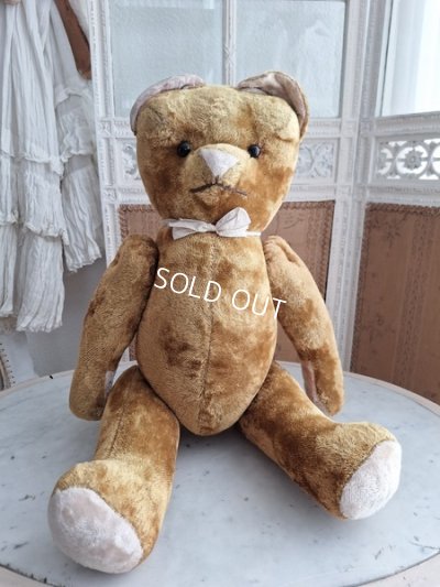 画像12: JPMテディベア