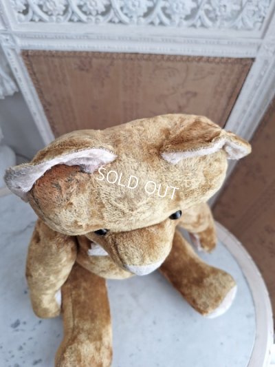 画像10: JPMテディベア