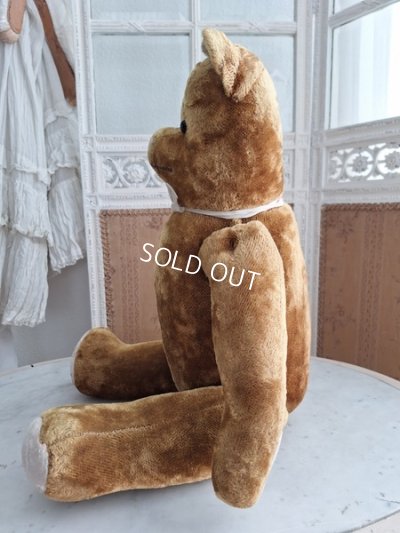 画像11: JPMテディベア