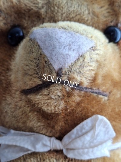 画像5: JPMテディベア