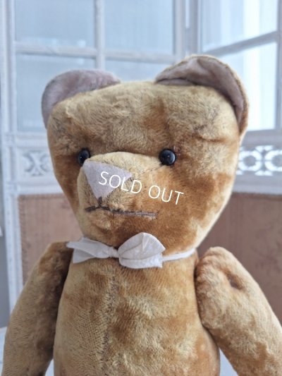 画像7: JPMテディベア