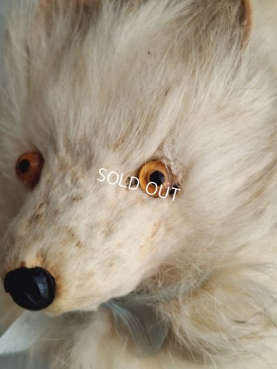 画像8: Lou Louドッグキャンディコンテナー