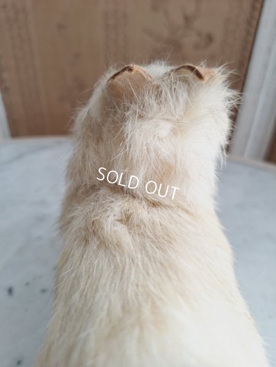 画像19: Lou Louドッグキャンディコンテナー