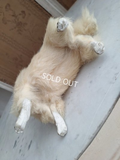 画像21: Lou Louドッグキャンディコンテナー