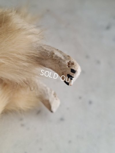 画像10: Lou Louドッグキャンディコンテナー