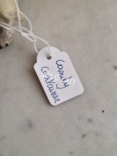 画像22: Lou Louドッグキャンディコンテナー