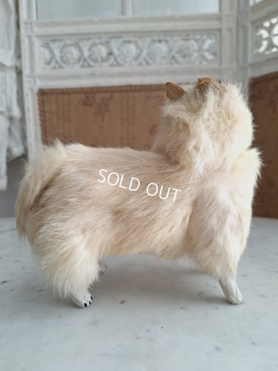 画像12: Lou Louドッグキャンディコンテナー