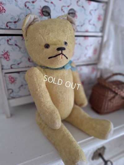 frenchteddybear