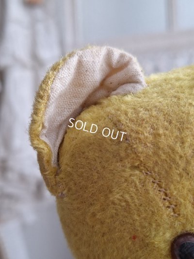 画像7: フレンチテディベア