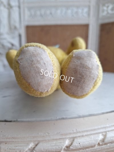 画像8: フレンチテディベア