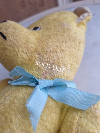 画像12: フレンチテディベア