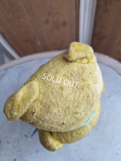 画像13: フレンチテディベア