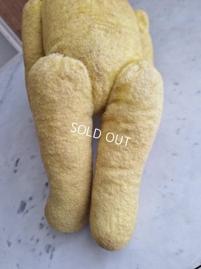 画像14: フレンチテディベア