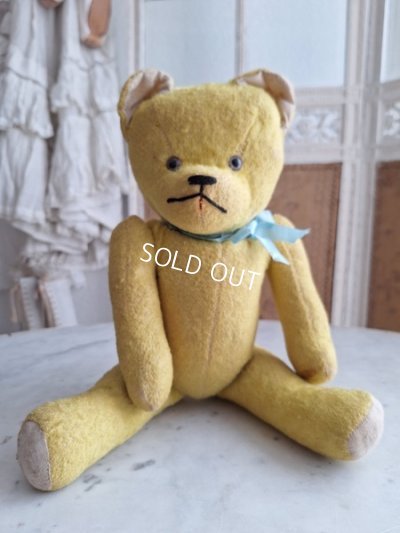 画像2: フレンチテディベア
