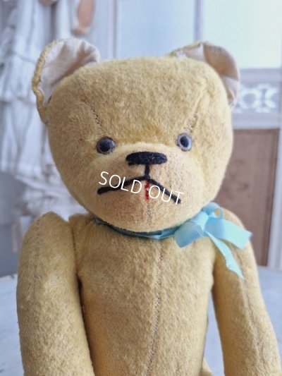 画像3: フレンチテディベア