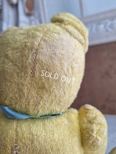 画像15: フレンチテディベア