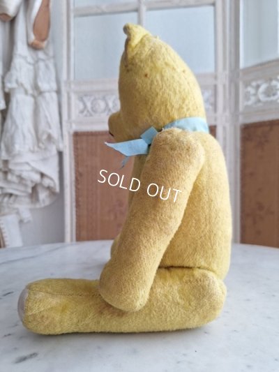 画像11: フレンチテディベア