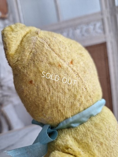 画像19: フレンチテディベア