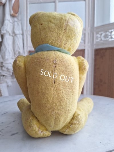 画像10: フレンチテディベア