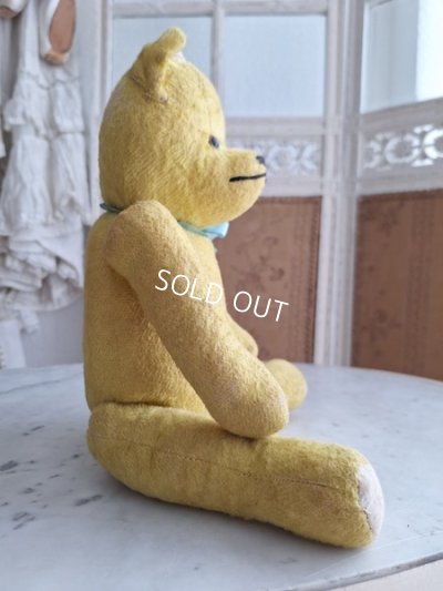 画像9: フレンチテディベア