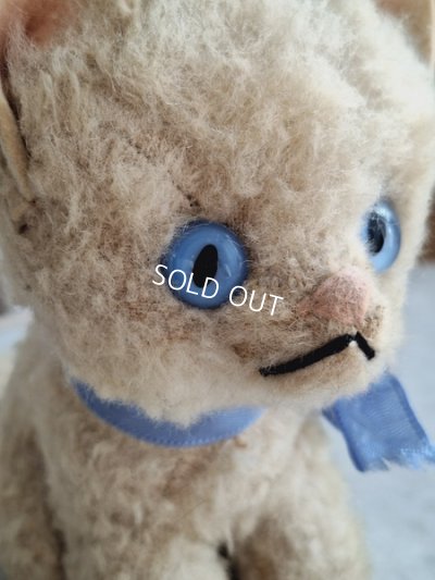 画像2: フレンチブルーアイキャット