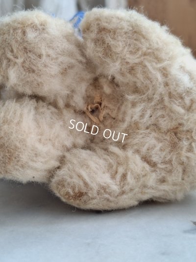 画像9: フレンチブルーアイキャット