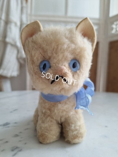 画像4: フレンチブルーアイキャット