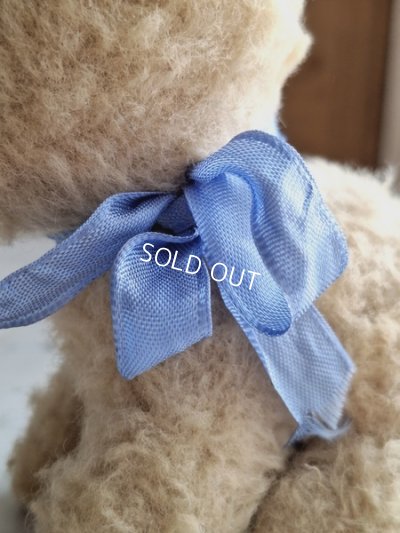 画像12: フレンチブルーアイキャット