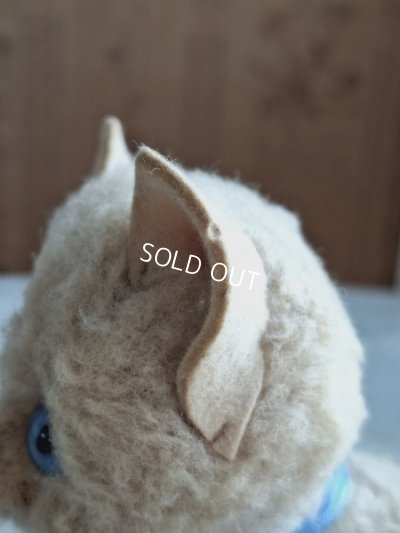 画像13: フレンチブルーアイキャット