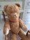 jpmteddybear
