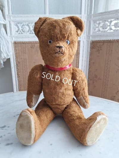 画像14: JPMテディベア